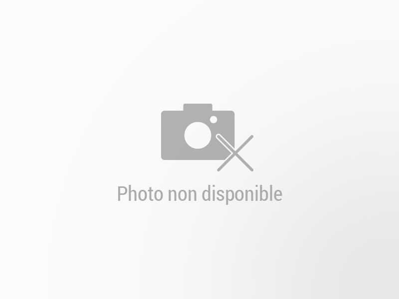 RENAULT Twingo neuve à vendre à CHAMPIGNY-SUR-MARNE